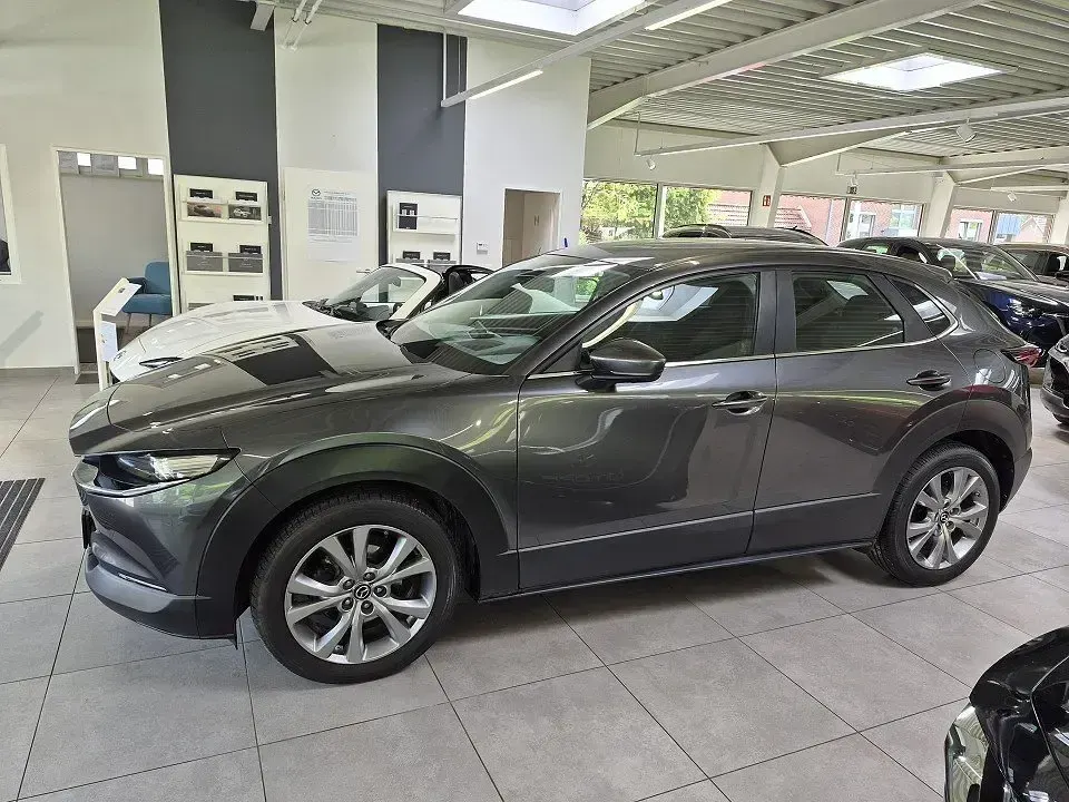 Gebraucht Mazda CX-30 Active 179 PS (131 kW) 2019 Grau SUV