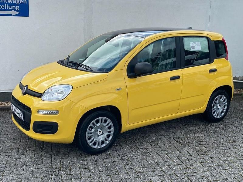 Gelb Neu 2025 Fiat Panda Kleinwagen | 15.990 € (Fairer Preis) - Bild 1/4
