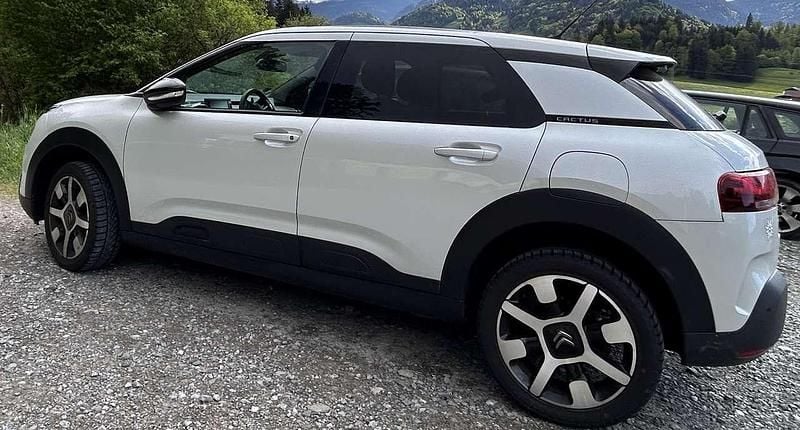 Gebraucht Citroën C4 Cactus PureTech 131 PS (96 kW) 2019 Weiß Kleinwagen