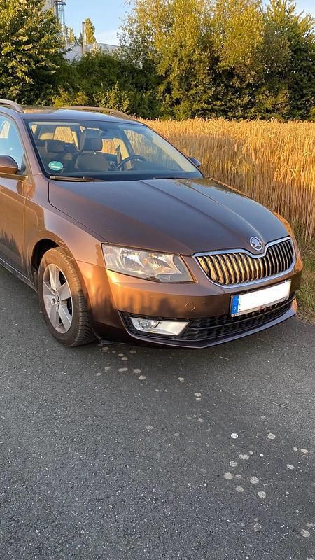 Braun Gebraucht 2014 Skoda Octavia Kombi | 8.200 € (Superpreis) - Bild 1/4
