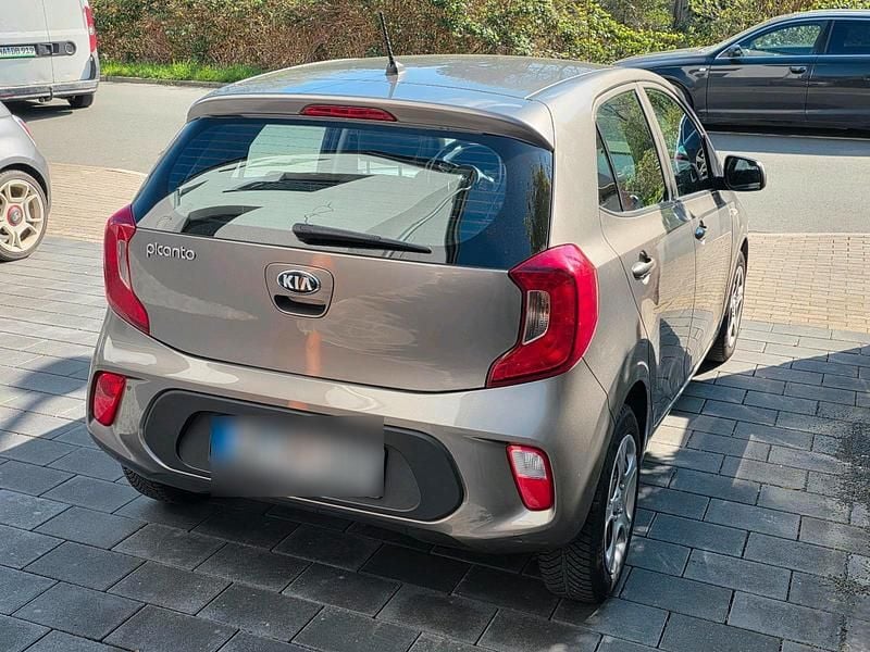 Gebraucht Kia Picanto Edition 7 67 PS (49 kW) 2019 Braun Kleinwagen
