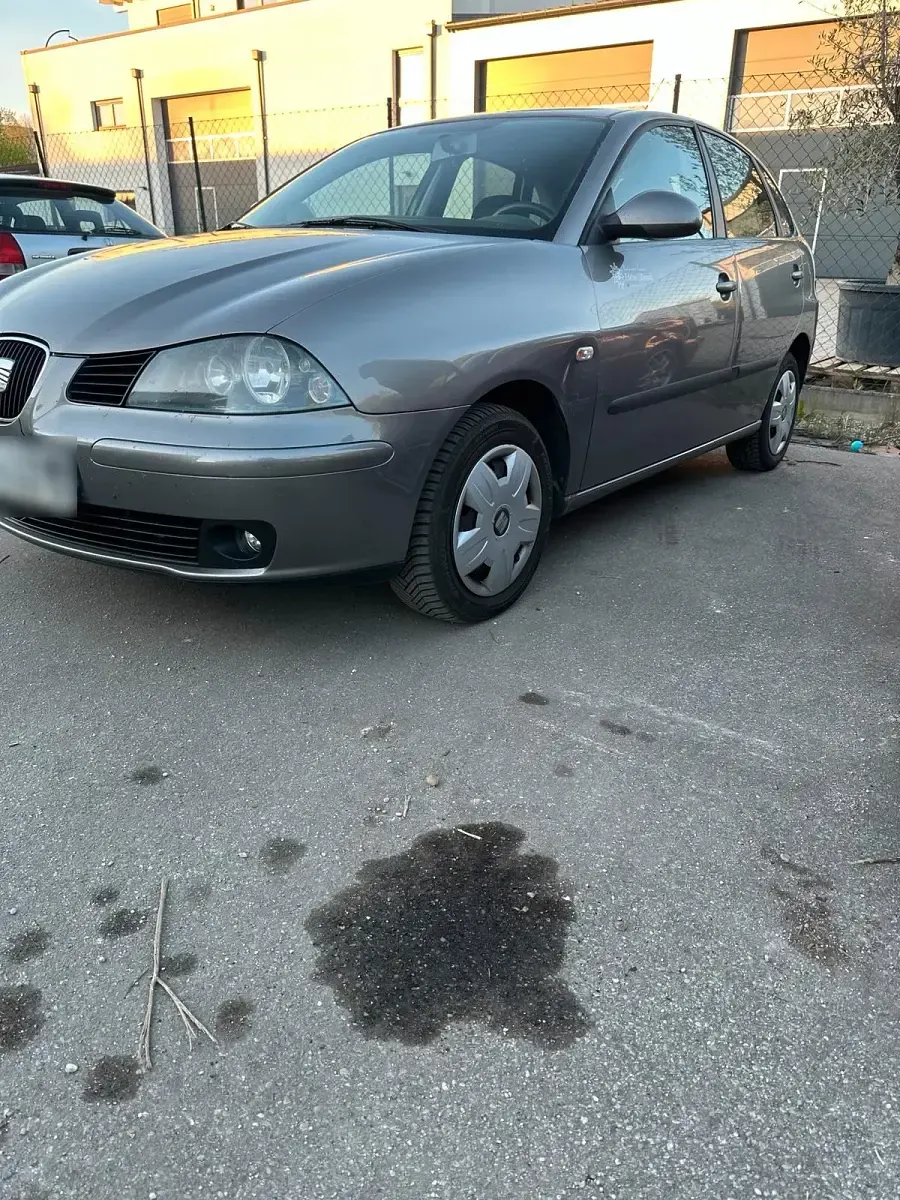 Gebraucht Seat Ibiza 75 PS (55 kW) 2004 Grau Kleinwagen