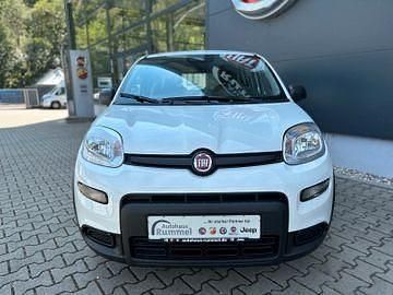 Neu Fiat Panda Icon 65 PS (47 kW) 2026 Weiß Limousine
