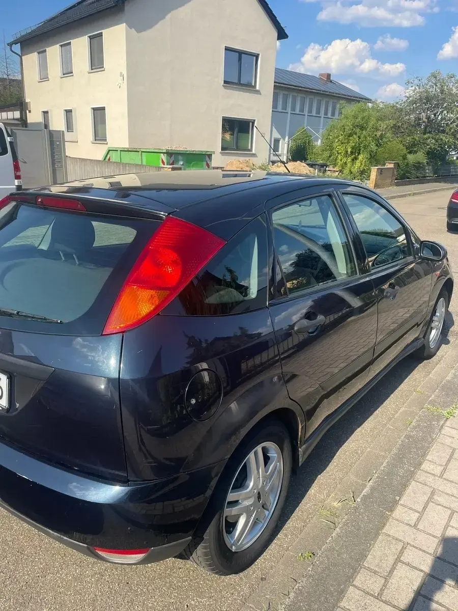 Usata Ford Focus 80 CV (58 kW) 2002 Marrone Utilitaria