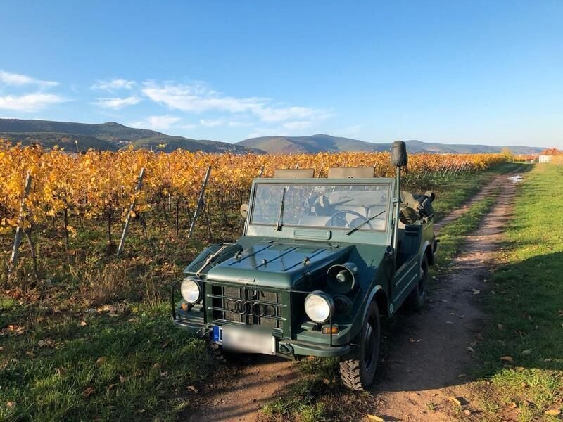 Gebraucht 1969 DKW Munga SUV | 10.000 € - Bild 1/4
