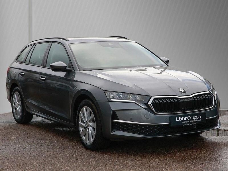 Gebraucht Skoda Octavia Selection 150 PS (110 kW) 2024 Graphitegrau metallic Kombi