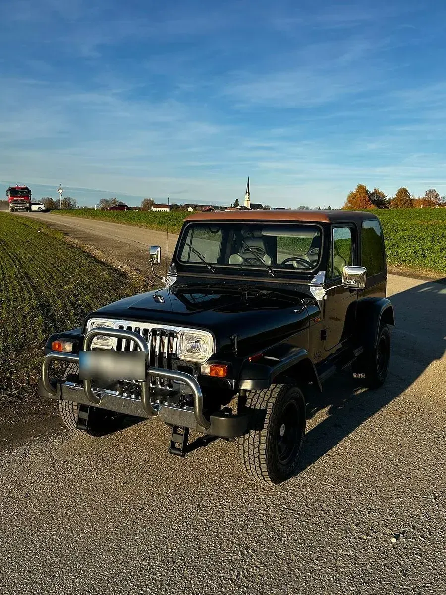 Gebraucht Jeep Wrangler 103 PS (75 kW) 1990 Schwarz SUV