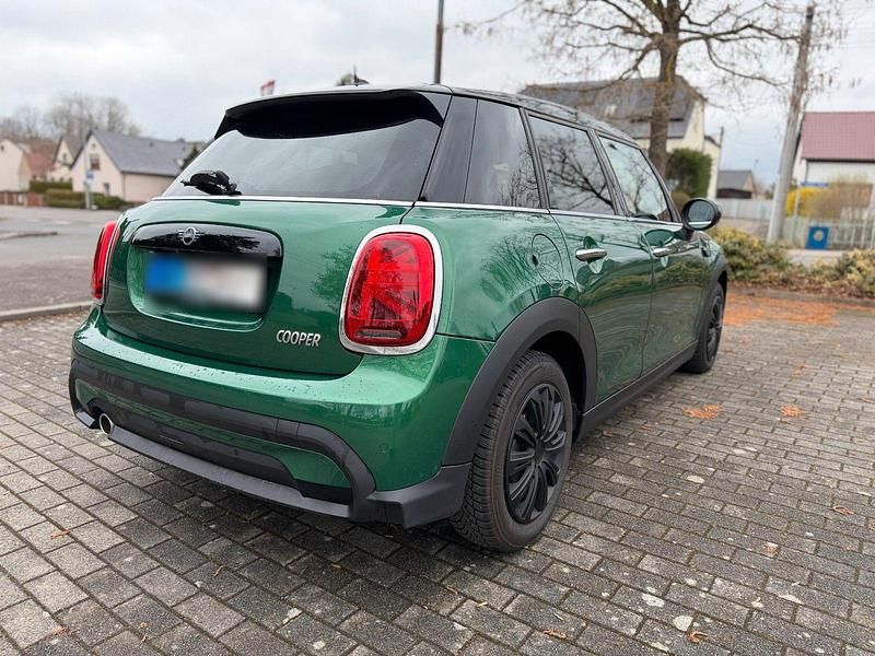 Gebraucht Mini Cooper 136 PS (100 kW) 2023 Grün Kleinwagen