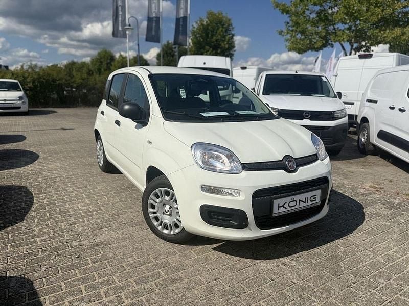 Weiß Neu 2025 Fiat Panda Limousine | 12.698 € (Guter Preis) - Bild 1/4