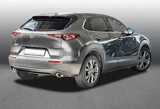 Gebraucht Mazda CX-30 Selection 180 PS (132 kW) 2021 Grau SUV