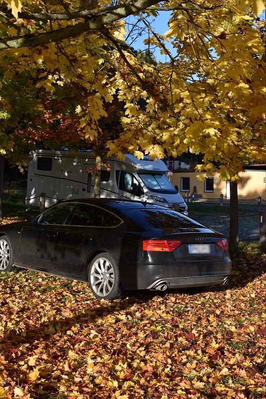 Gebraucht Audi Coupé Advanced 204 PS (150 kW) 2013 Schwarz Coupé