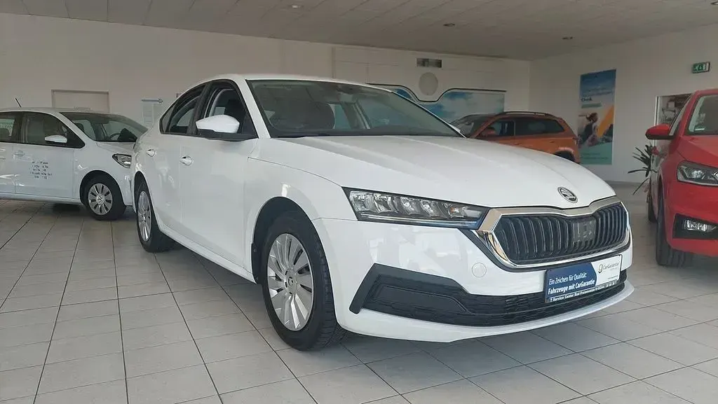 Gebraucht Skoda Octavia Active 110 PS (80 kW) 2022 Weiß Limousine