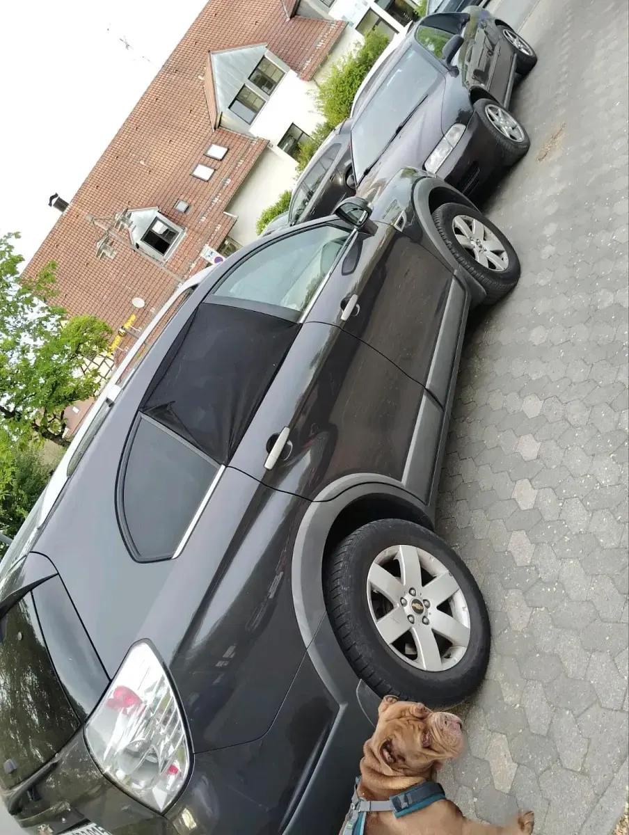 Gebraucht Chevrolet Captiva 163 PS (119 kW) 2013 Grau SUV