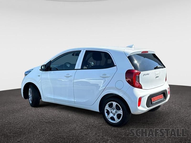 Gebraucht Kia Picanto Vision 67 PS (49 kW) 2024 Weiss ((ud) schneeweiss) Kleinwagen