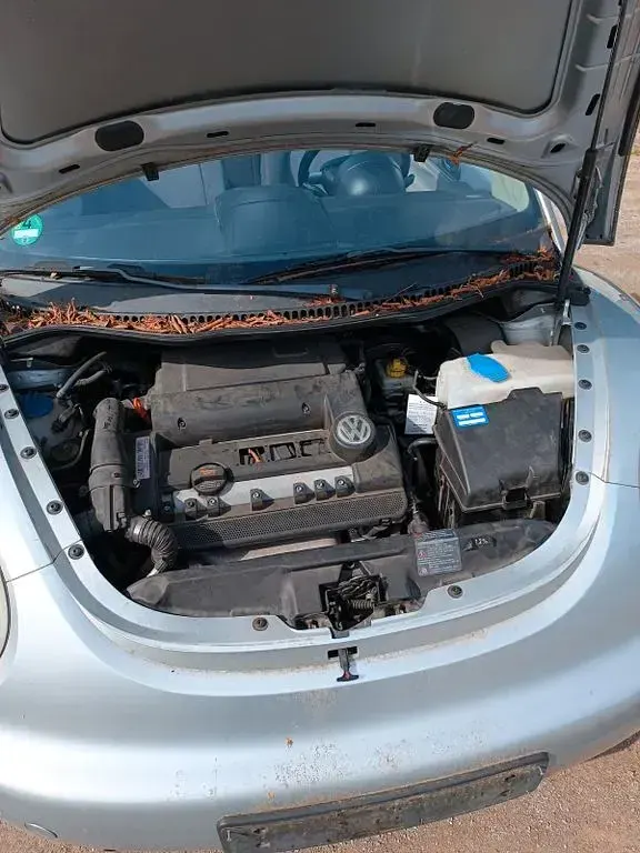 Gebraucht VW New Beetle 75 PS (55 kW) 2005 Kleinwagen
