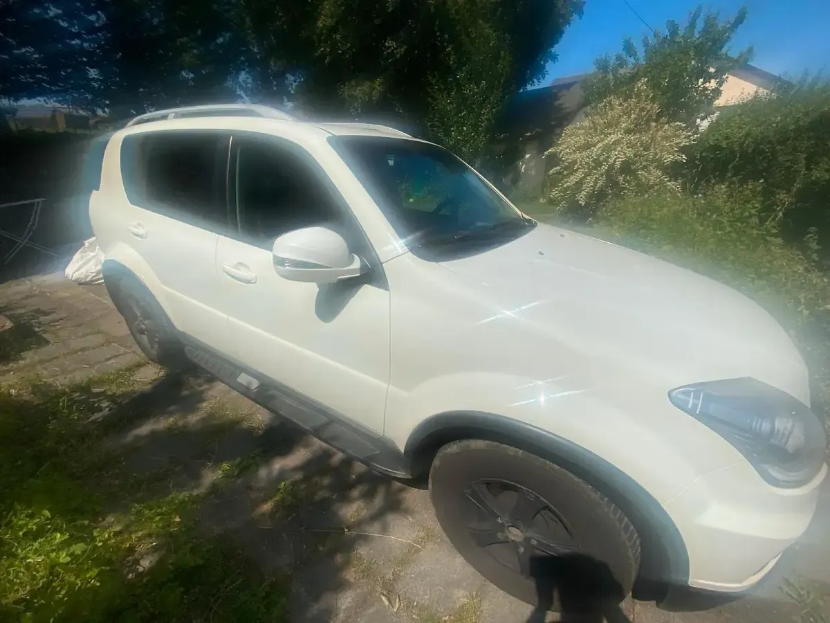 Gebraucht SsangYong Rexton 150 PS (110 kW) 2014 Weiß SUV