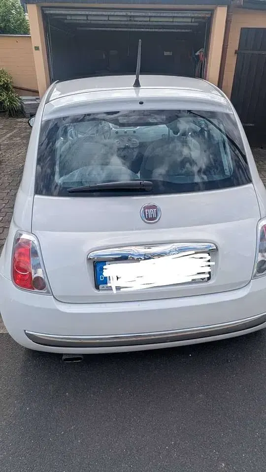 Gebraucht Fiat 500 Pop 69 PS (50 kW) 2009 Beige Cabrio
