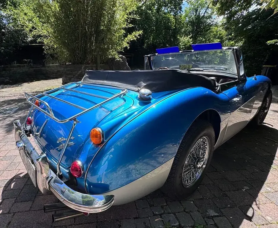 Gebraucht Austin Healey 3000 MK III 150 PS (110 kW) 1964 Cabrio