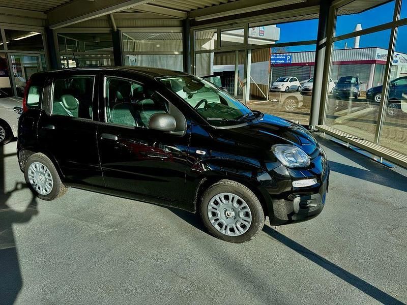 Neu Fiat Panda 69 PS (50 kW) 2025 Schwarz Limousine