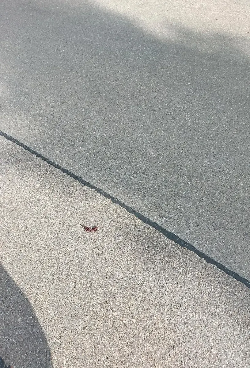 Gebraucht Nissan Micra 65 PS (47 kW) 2009 Grau Kleinwagen