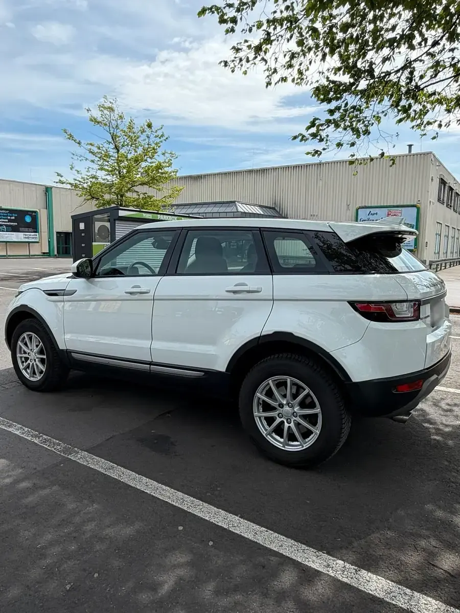 Gebraucht Land Rover Range Rover evoque 150 PS (110 kW) 2016 Weiß Kombi