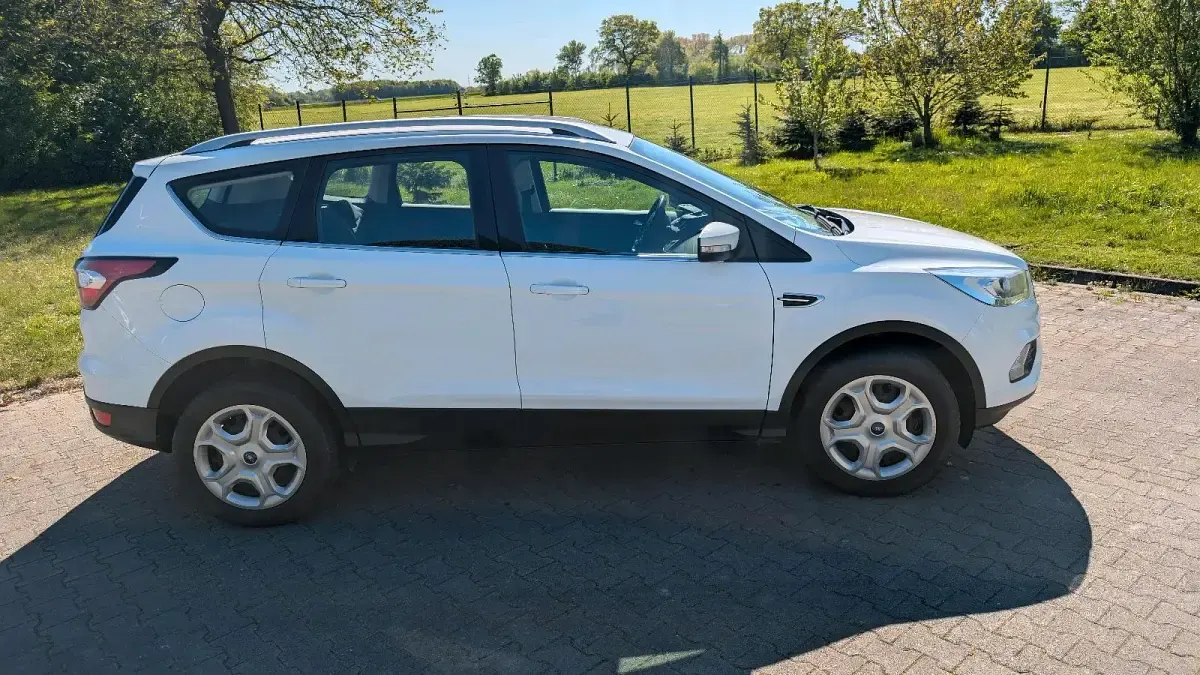 Gebraucht Ford Kuga 150 PS (110 kW) 2017 Weiß SUV