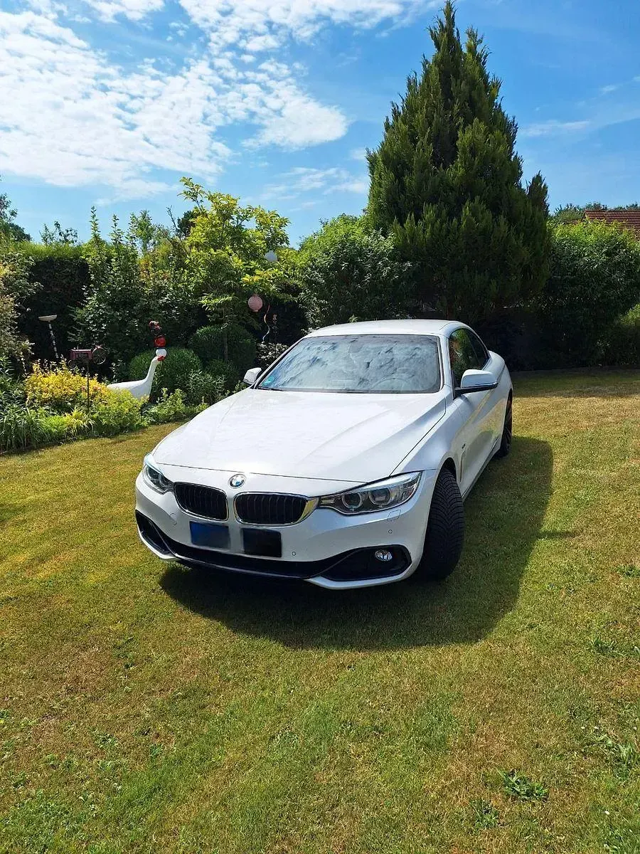 Gebraucht BMW 420 Cabriolet Sport Line 184 PS (135 kW) 2014 Weiß Cabrio