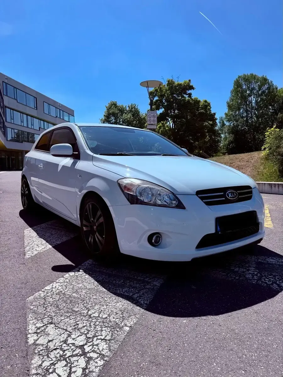 Gebraucht Kia Ceed 125 PS (91 kW) 2010 Weiß Kleinwagen