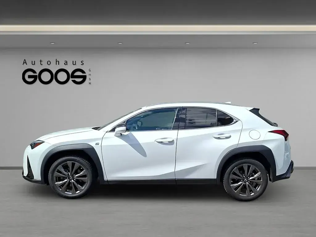 Gebraucht Lexus UX 250h 184 PS (135 kW) 2023 Weiß SUV