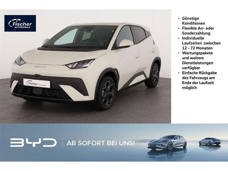 Weiß Gebraucht 2025 BYD Dolphin Comfort Kleinwagen | 25.640 € (Guter Preis) - Bild 1/4