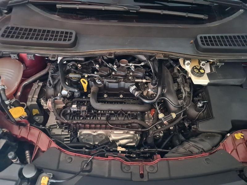 Gebraucht Ford Kuga Titanium 150 PS (110 kW) 2018 Rot SUV