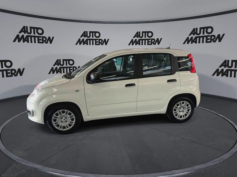 Neu Fiat Panda Icon 65 PS (47 kW) 2026 Weiß Kleinwagen