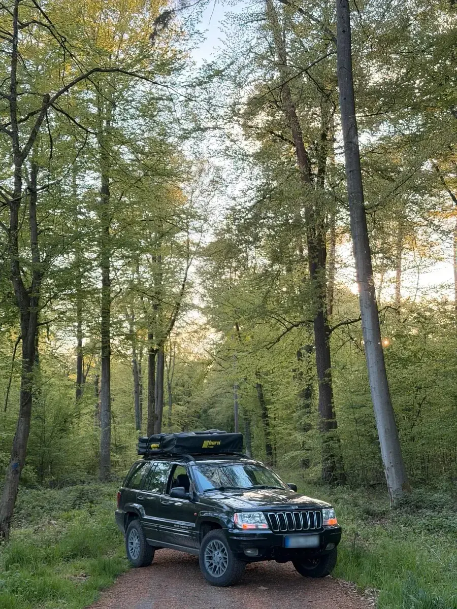 Gebraucht Jeep Grand Cherokee 163 PS (119 kW) 2002 Schwarz SUV
