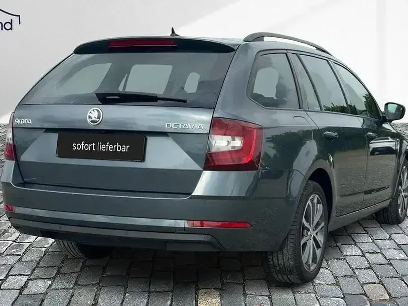 Gebraucht Skoda Octavia 116 PS (85 kW) 2017 Grau Kombi