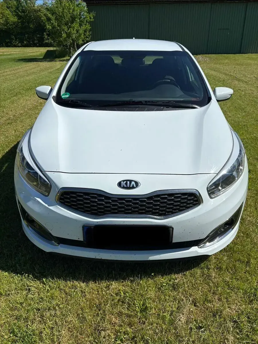 Używany Kia Ceed DREAM-TEAM Edition 101 KM (74 kW) 2016 Biały Hatchback