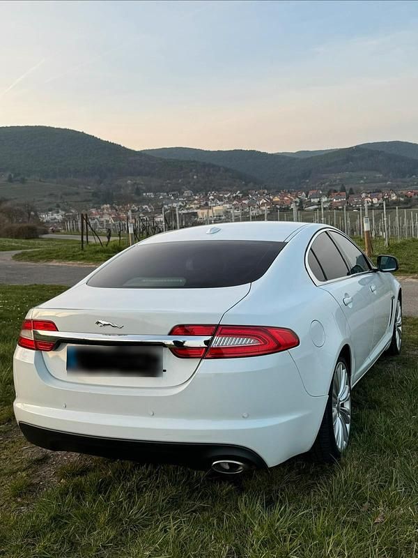 Gebraucht Jaguar XF 200 PS (147 kW) 2011 Weiß Limousine