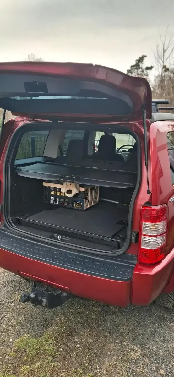 Gebraucht Dodge Nitro SE 177 PS (130 kW) 2010 Rot SUV