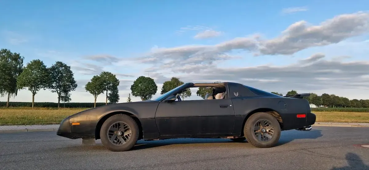 Gebraucht Pontiac Firebird 140 PS (102 kW) 1991 Coupé