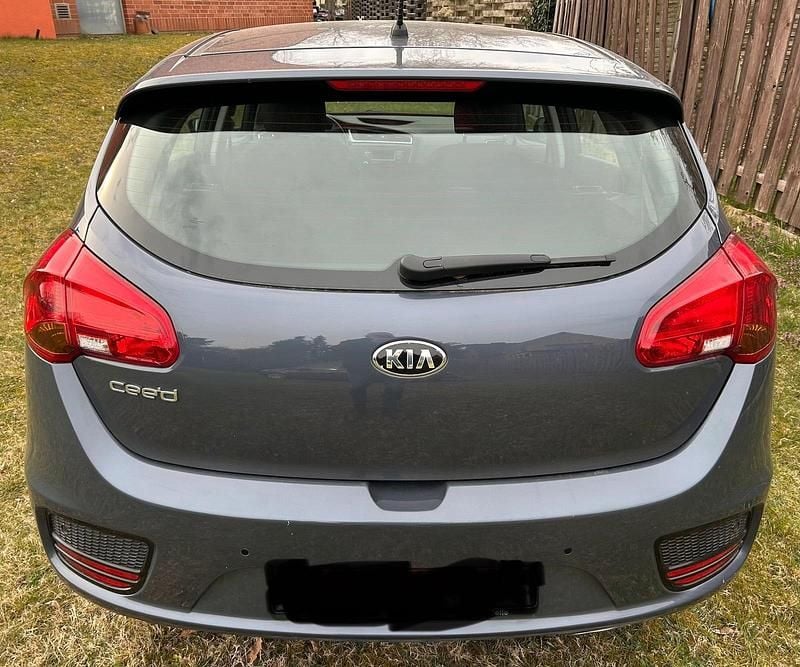 Gebraucht Kia Ceed Edition 7 135 PS (99 kW) 2017 Grau Kleinwagen