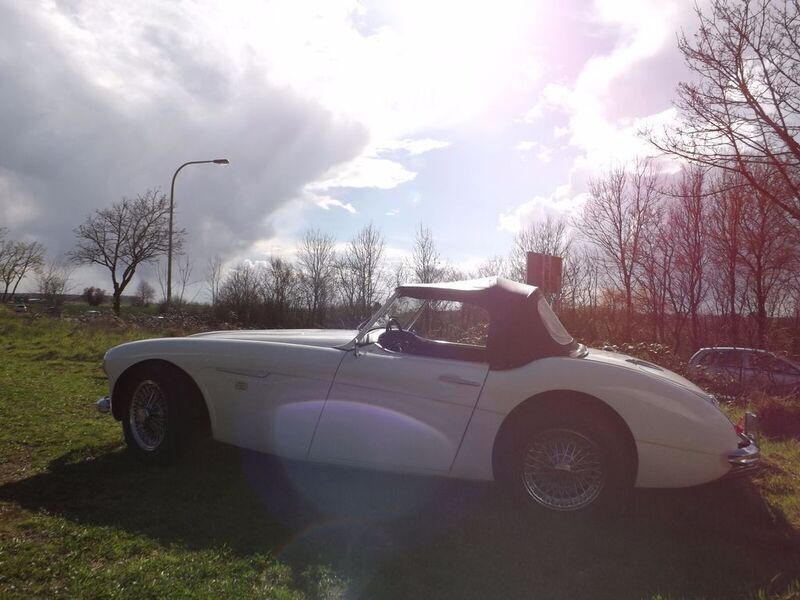 Gebraucht Austin Healey 3000 MK I 124 PS (91 kW) 1960 Cabrio