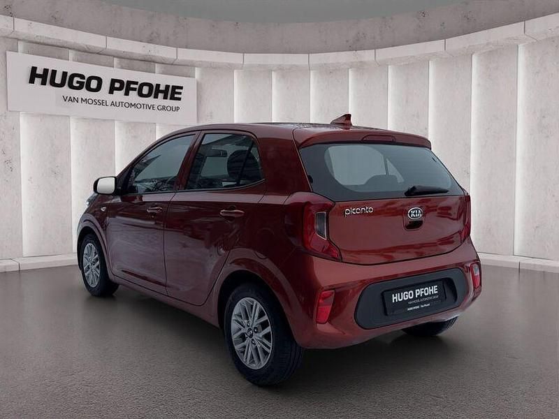 Gebraucht Kia Picanto 67 PS (49 kW) 2020 Orange Kleinwagen