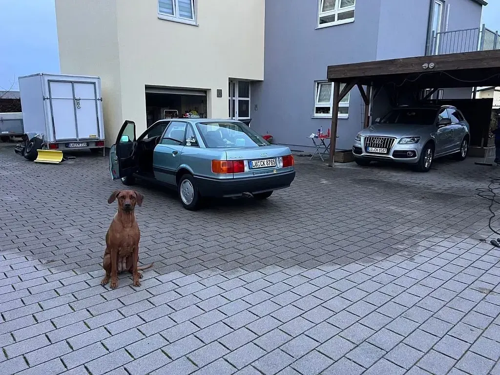 Gebraucht Audi 80 69 PS (50 kW) 1990 Grün Limousine