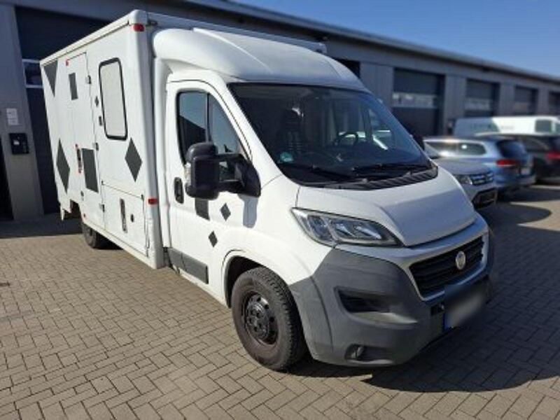 Weiß Gebraucht 2014 Fiat Ducato Van | 10.690 € (Superpreis) - Bild 1/4