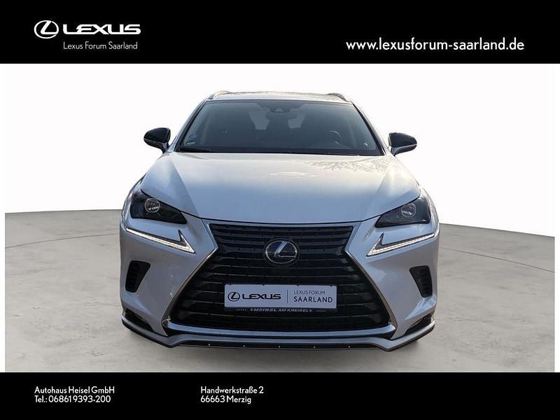 Gebraucht Lexus NX300h 197 PS (144 kW) 2021 Weiß SUV