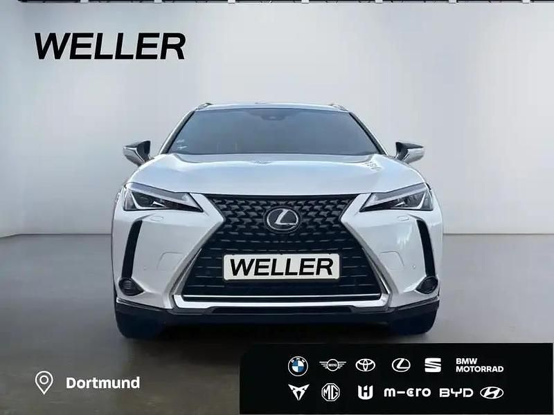 Gebraucht Lexus UX 250h 184 PS (135 kW) 2022 Weiß SUV