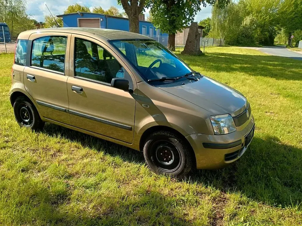 Gebraucht Fiat Panda 54 PS (39 kW) 2009 Gold Kleinwagen