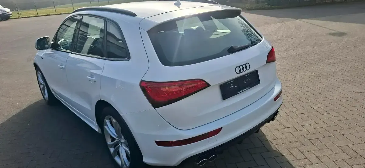 Gebraucht Audi SQ5 Competition 326 PS (239 kW) 2017 Weiß SUV