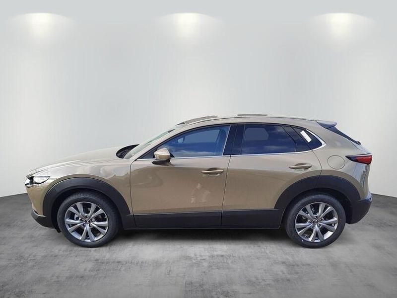 Gebraucht Mazda CX-30 Center-Line 140 PS (102 kW) 2025 Gelb SUV