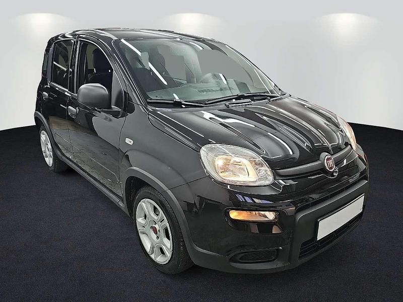 Gebraucht Fiat Panda 69 PS (50 kW) 2024 Colore esterno (cinema schwarz Limousine