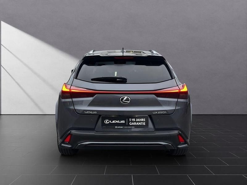 Gebraucht Lexus UX 250h Sport Line 184 PS (135 kW) 2023 Grau SUV